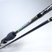 アドバンスメントPSR-60